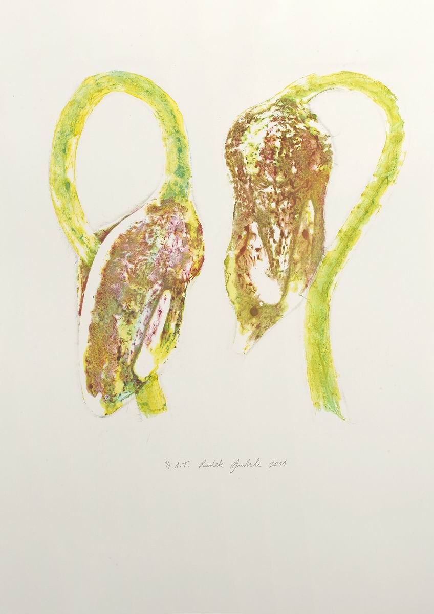 grafika08